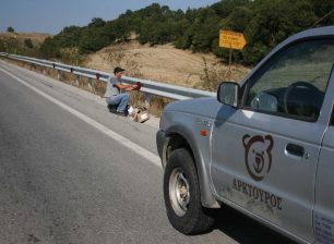 Ανακλαστήρες που σώζουν αρκούδες και λύκους έβαλε ο ΑΡΚΤΟΥΡΟΣ στην εθνική οδό στο Κλειδί Φλώρινας
